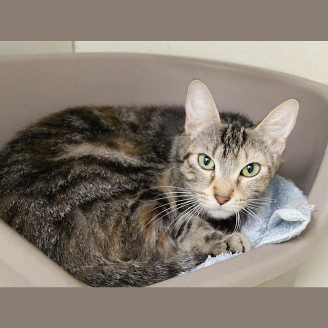 Photo of Bliss (5535)