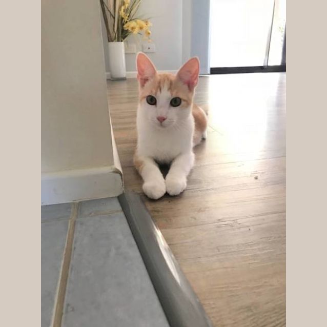 Photo of Alistair