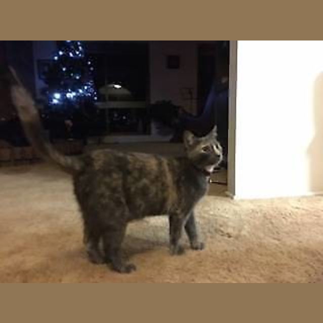 Photo of Ella