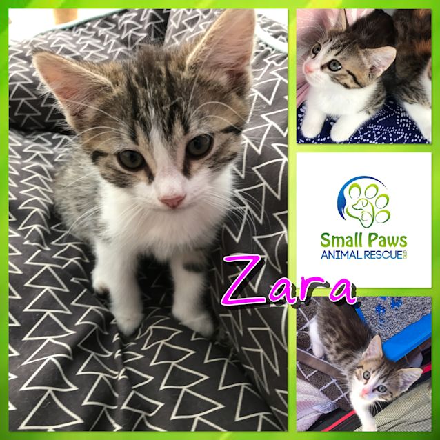 Photo of Zara