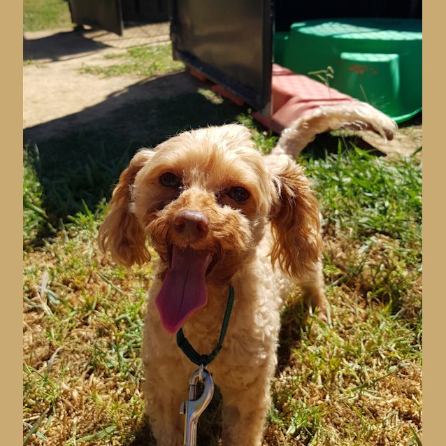 Photo of Charlie