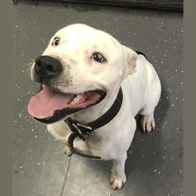 Photo of Zeus
