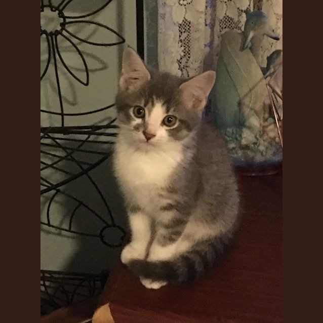 Photo of Drax