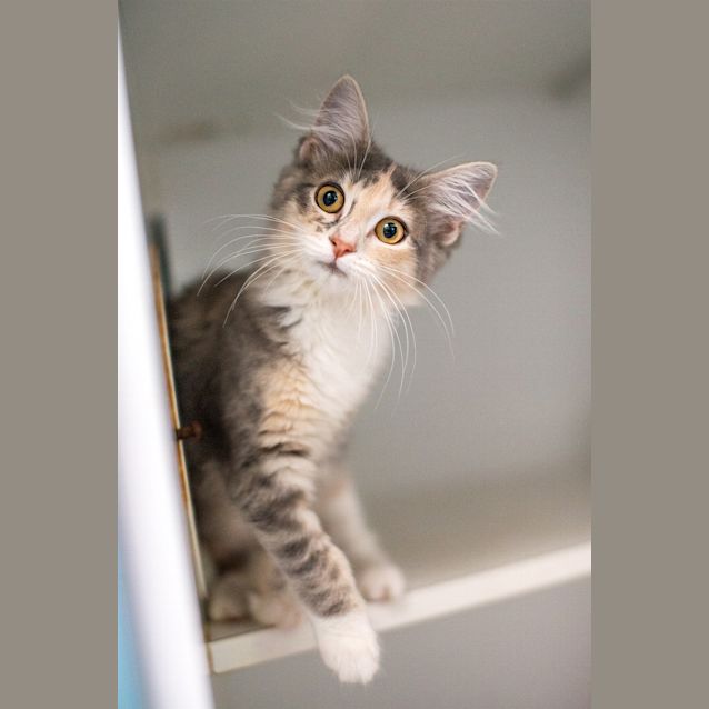 Photo of Bonny