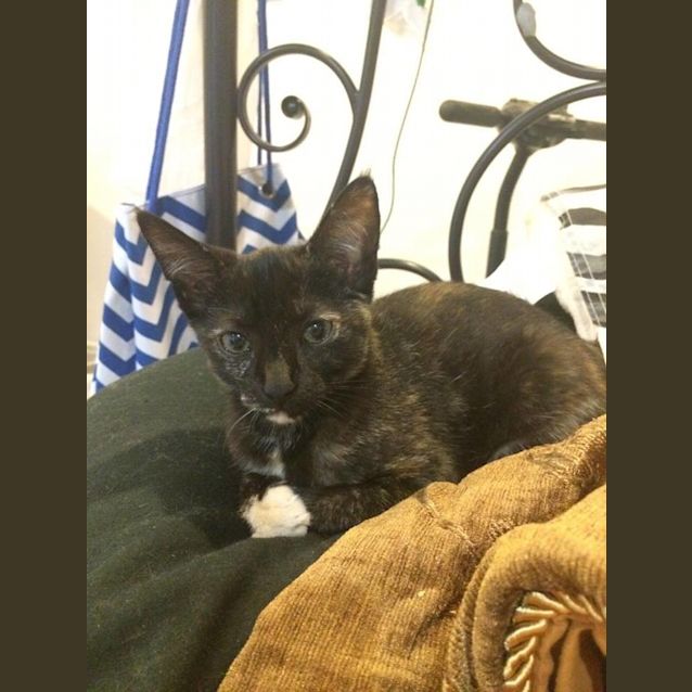 Photo of Gemma