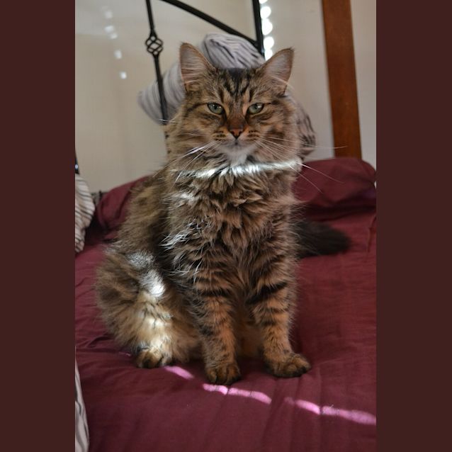 Photo of Abbey (On Trial)