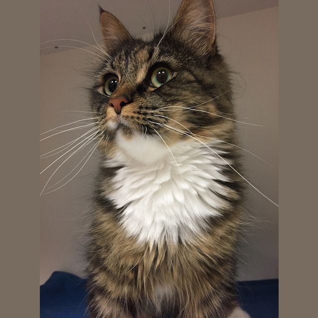 Photo of Hazel