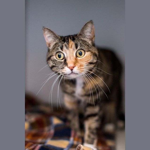 Photo of Lala