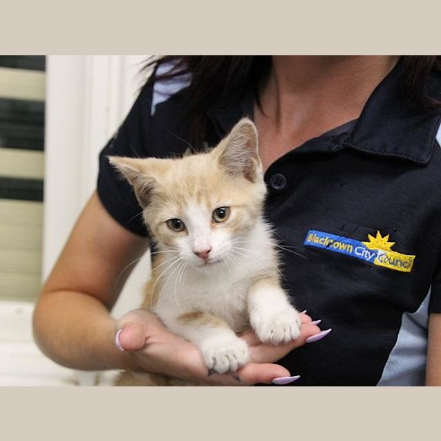 Photo of Charlie (0273)