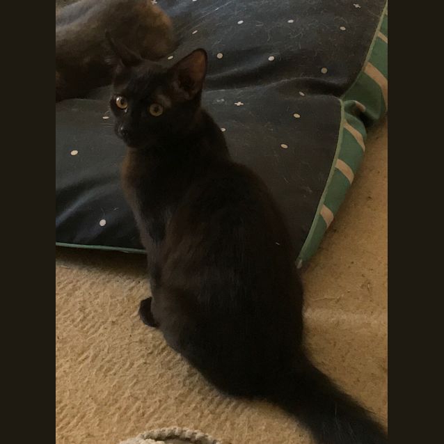 Photo of Jamal