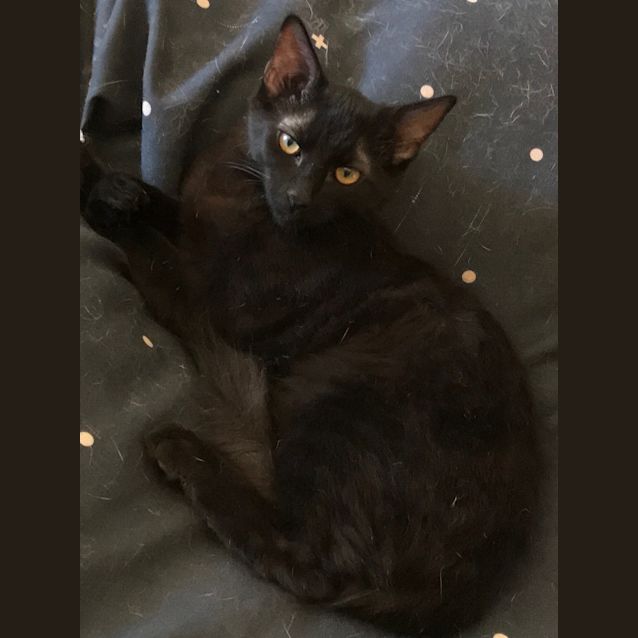 Photo of Jamal