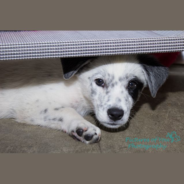 Photo of Lusta