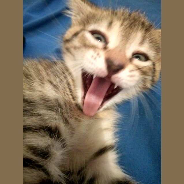 Photo of Marley 