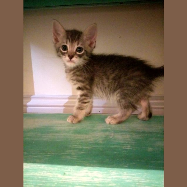 Photo of Arlo 
