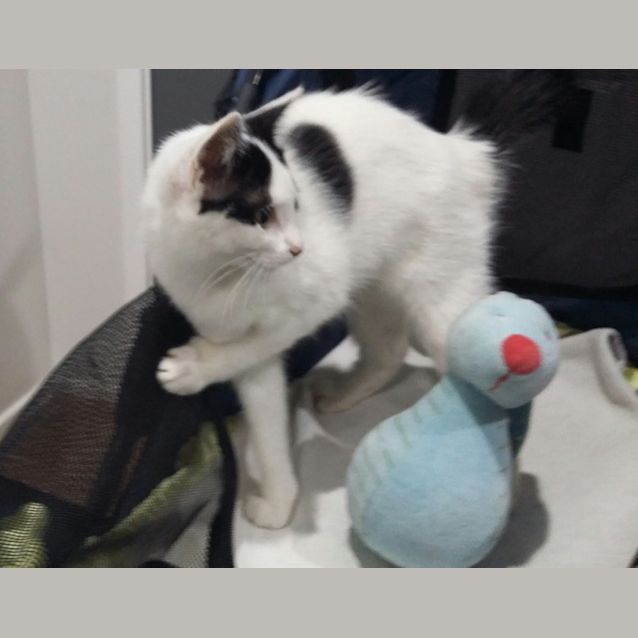 Photo of Whitey