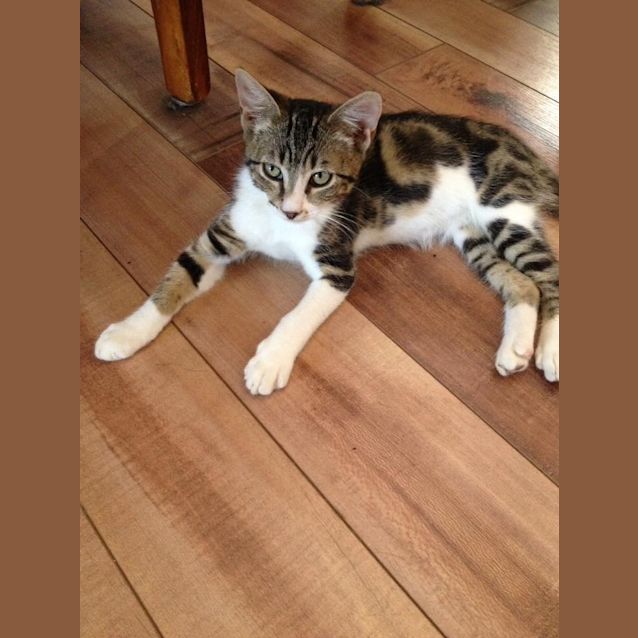 Photo of Boots 