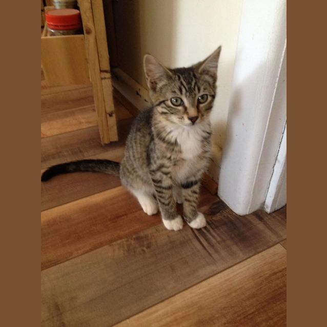 Photo of Odis