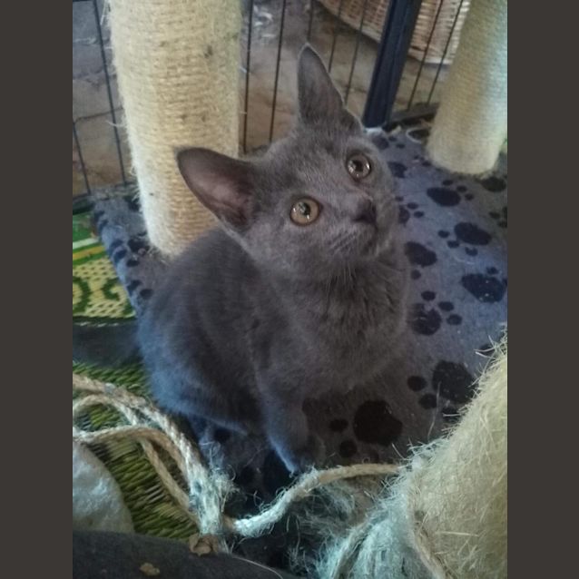 Photo of Ajax 