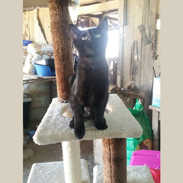 Photo of Nina
