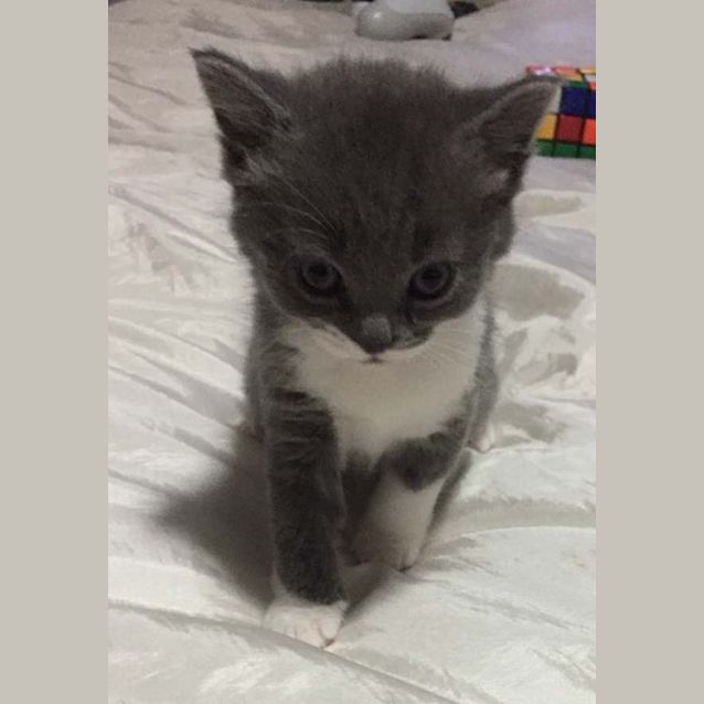 Photo of Angel