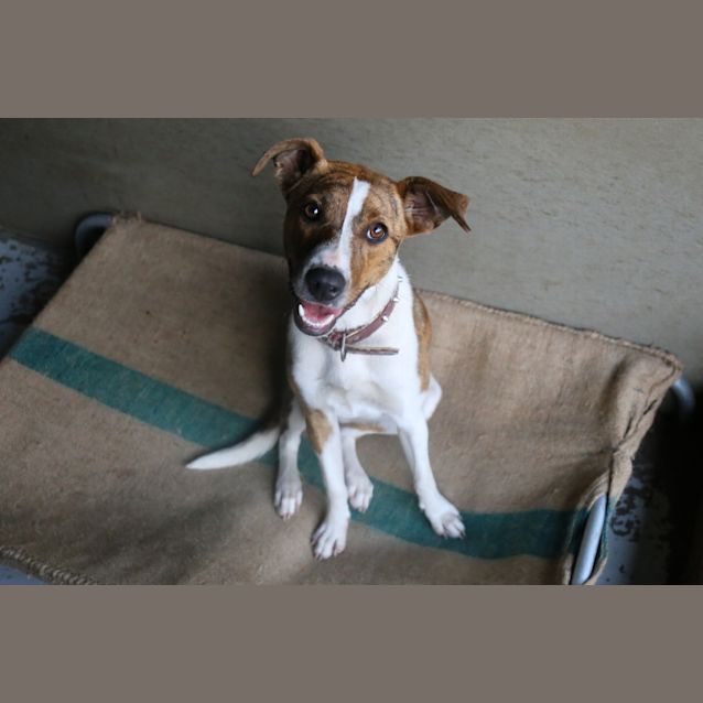Photo of Libby