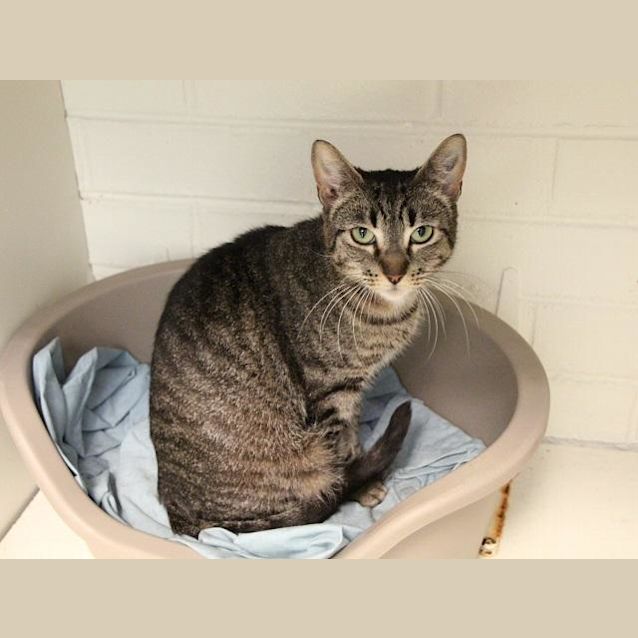 Photo of Hariette (5138)