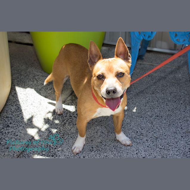 Photo of Rosco