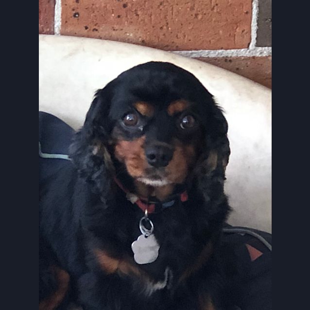 Photo of Jorgie