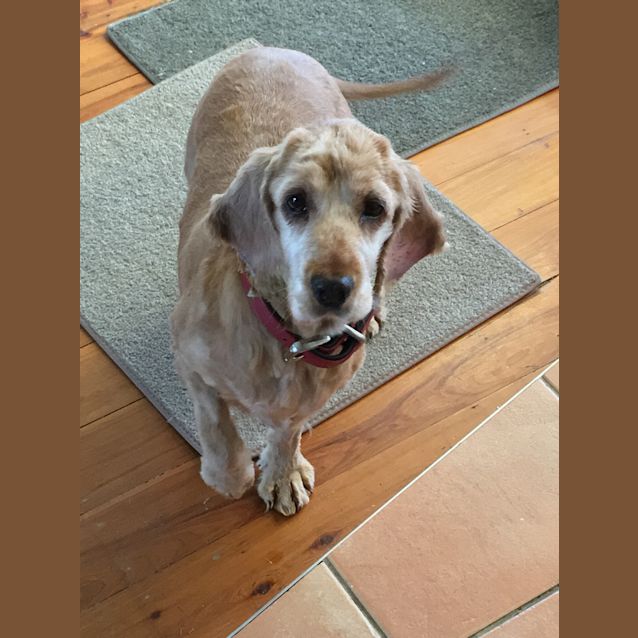 Photo of Daisy May