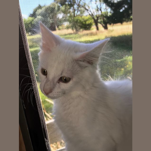 Photo of George And Maggie 