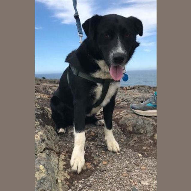 Photo of Chase