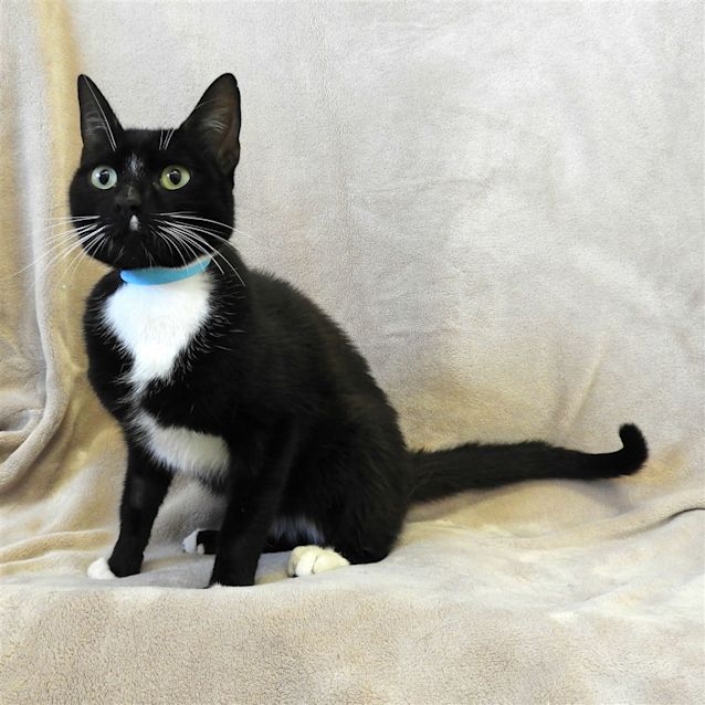 Photo of Duncan
