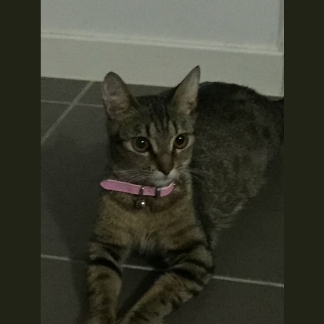 Photo of Jean 