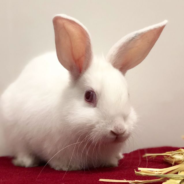 Photo of Regina