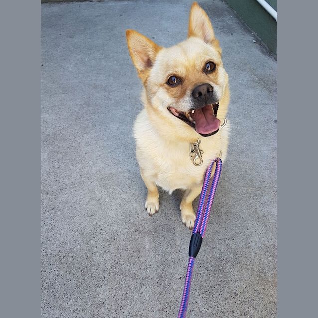 Photo of Spike