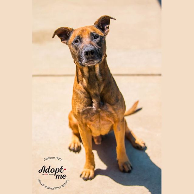 Photo of Pcc 35 (Jasper)