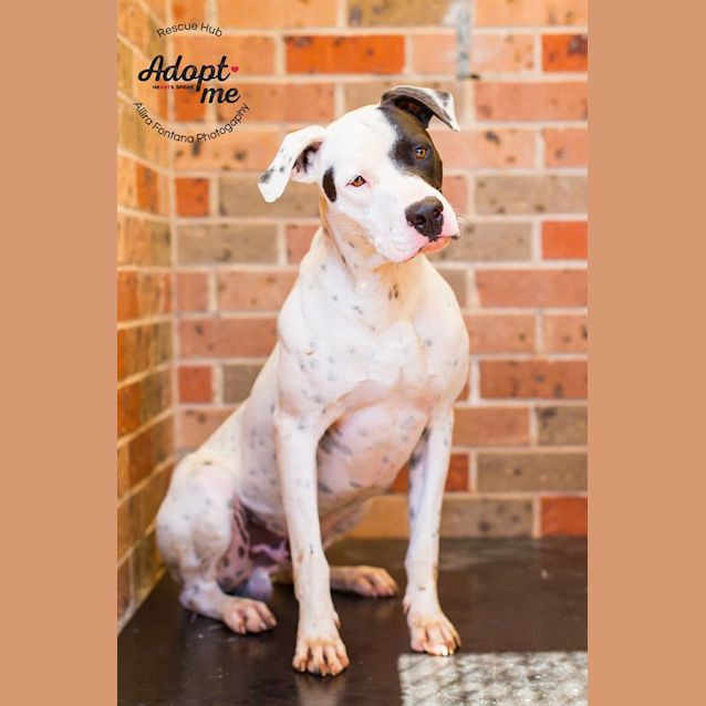 Photo of Julio (Hcc 20)