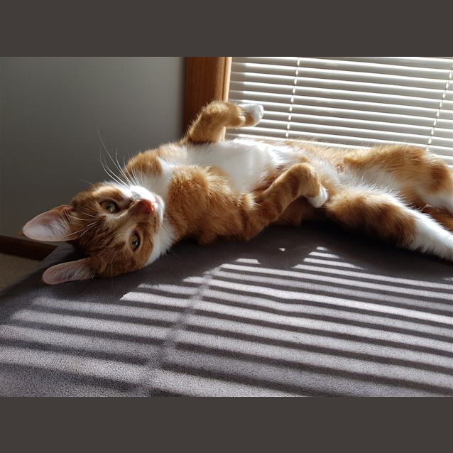 Photo of Minnie