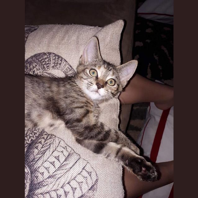 Photo of Juliet