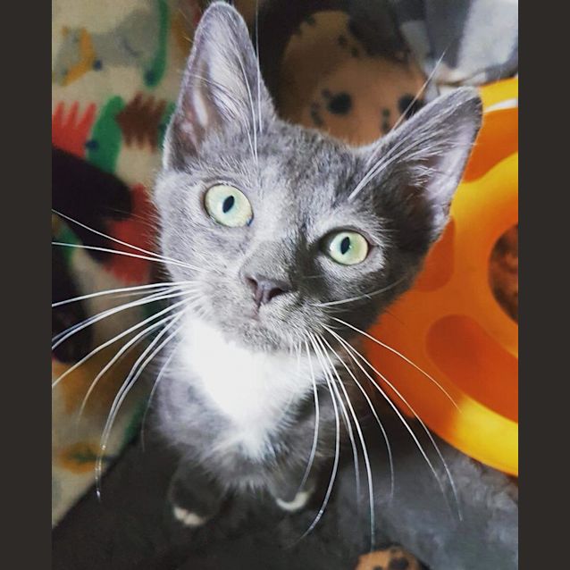 Photo of Gerald 