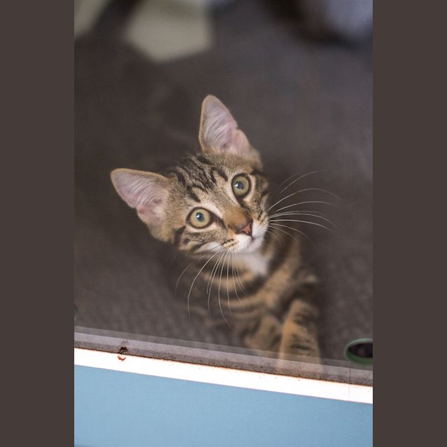 Photo of Sparkle