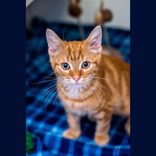 Photo of Tubby