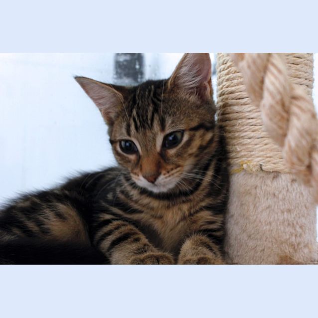 Photo of Mia