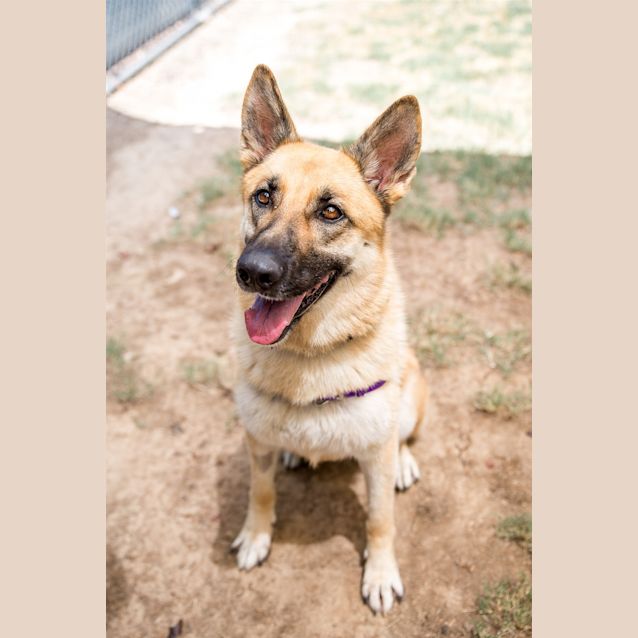 Photo of Storm