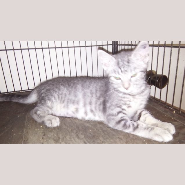 Photo of Amy E1453