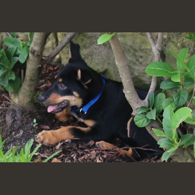 Photo of Billy