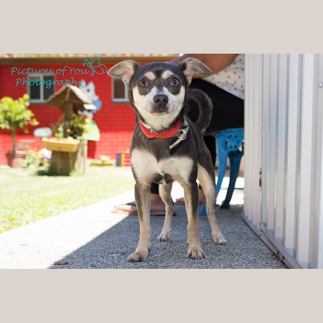 Photo of Hercules