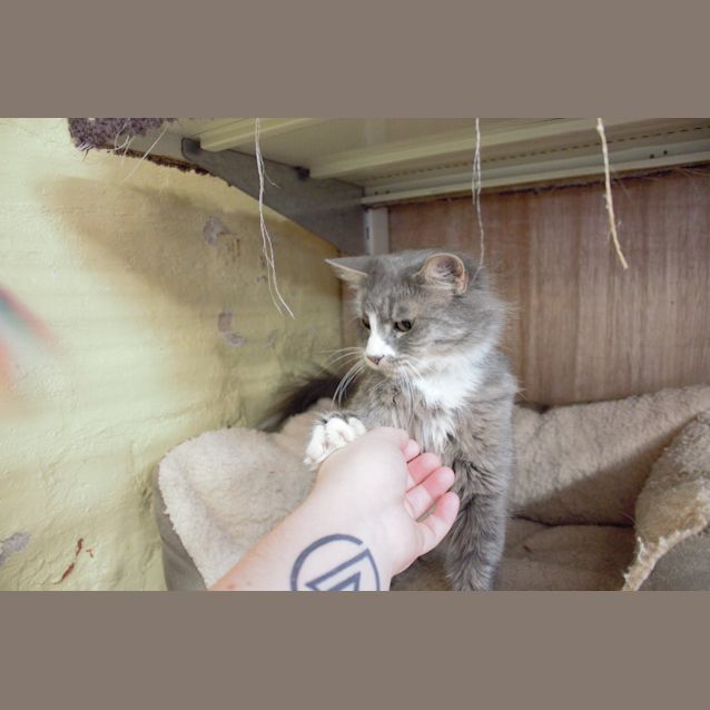 Photo of Riddick