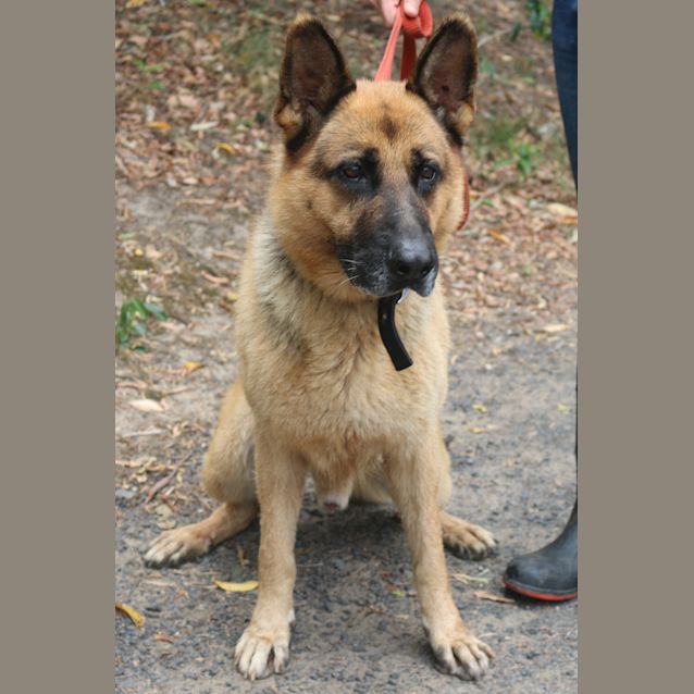 Photo of Ace