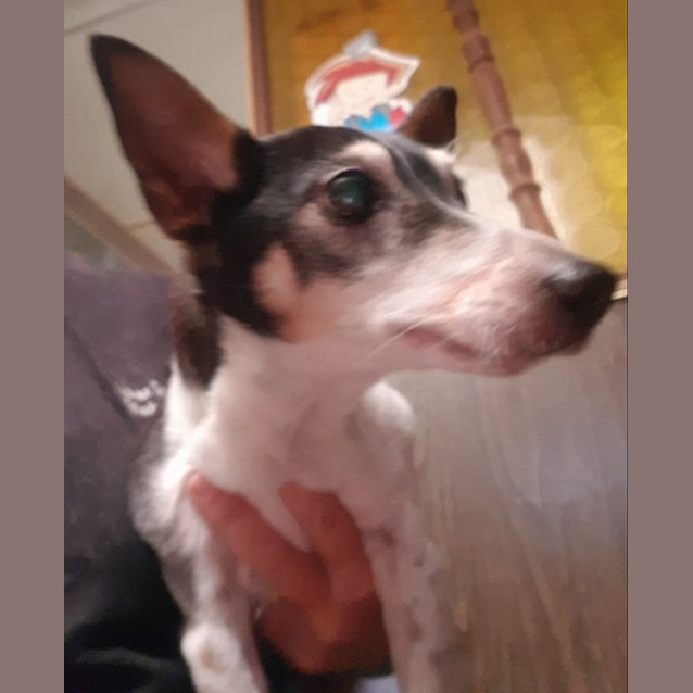 Photo of Jack